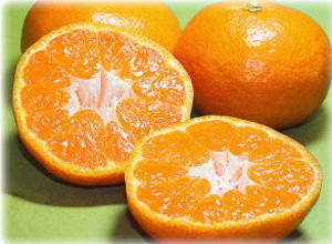 主な取扱い品 - 西宇和みかん・冷凍みかん・柑橘ジュースなら 